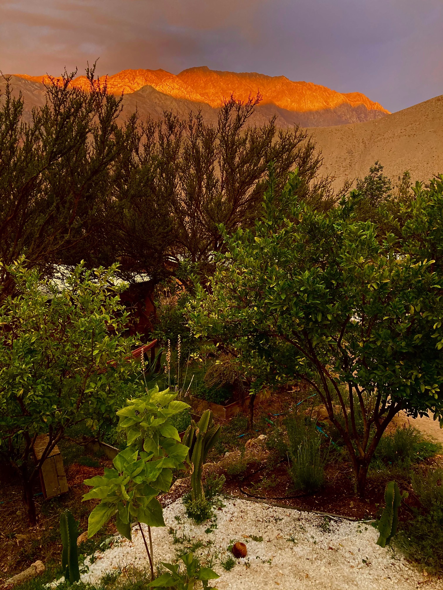 Atardecer mágico en UMA Elqui, vistas privilegiadas al valle y montañas