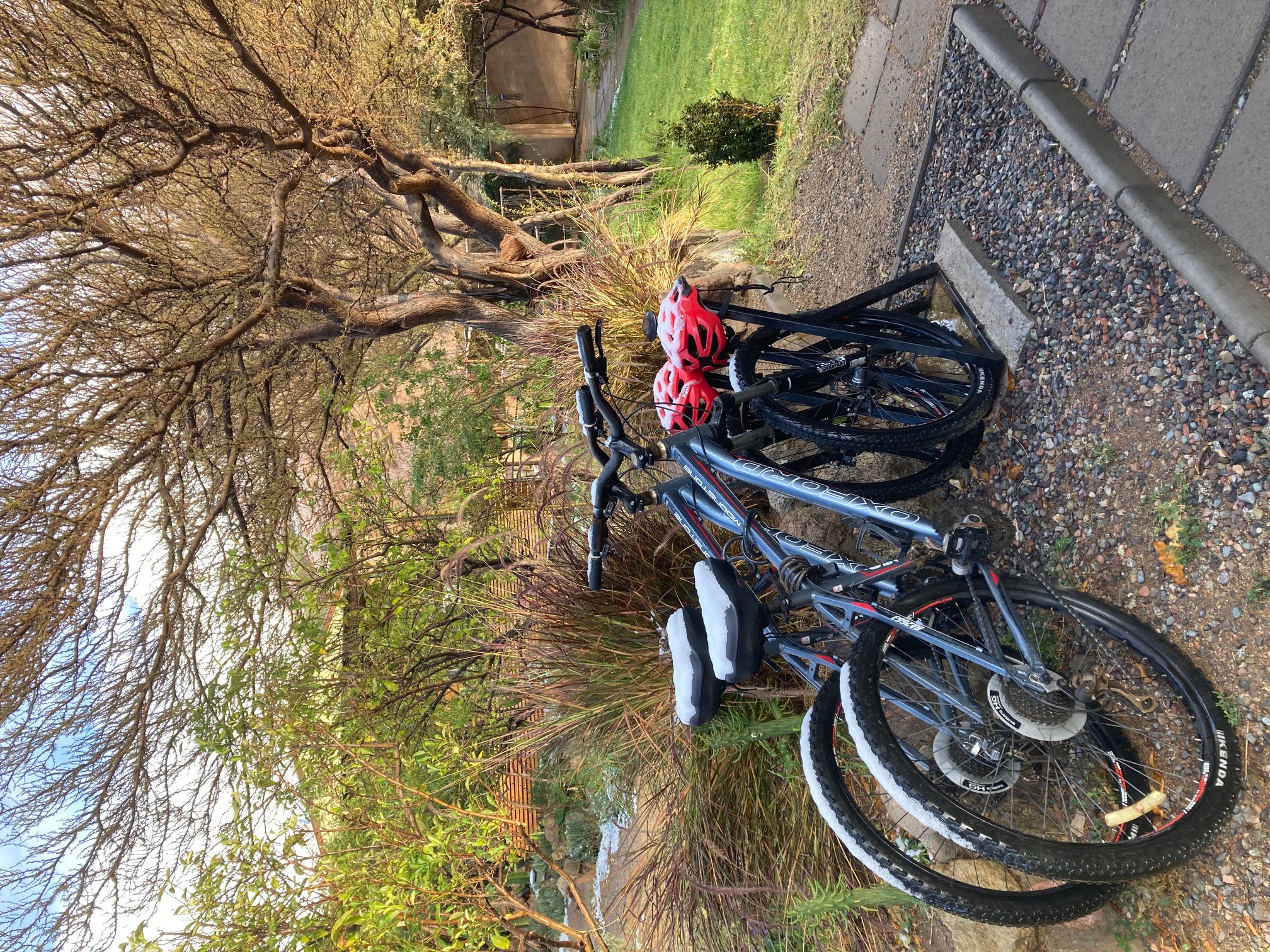 Bicicletas disponibles para huéspedes, explora Pisco Elqui con UMA Elqui